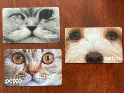 LOT of 7 PETCO GIFT CARDS zero value RARE WINKING CAT, DOG, JOY LOVE PET HOLIDAY - Picture 2 of 5
