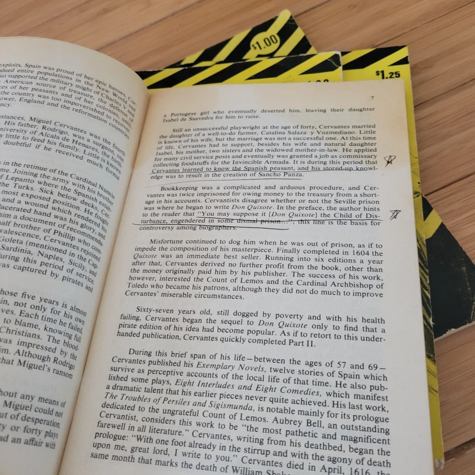 Lot of 5 Cliffs Notes Reading Study Guides Scarlett Letter + More Foto 3 de 4