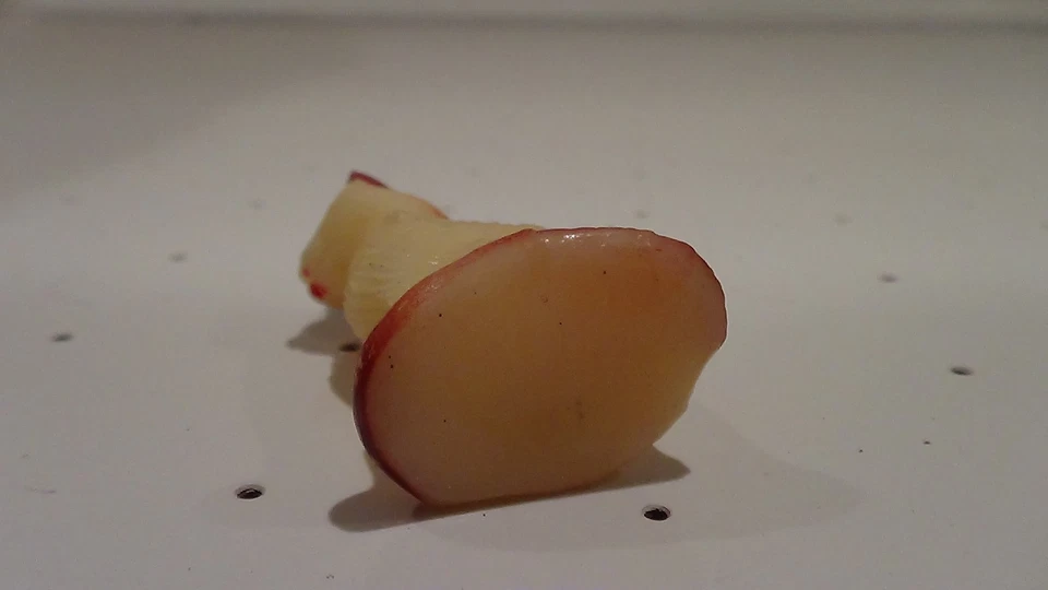 1960's NYLINT Ford Farm Set original cat accessory Hong Kong - Image 4 of 4