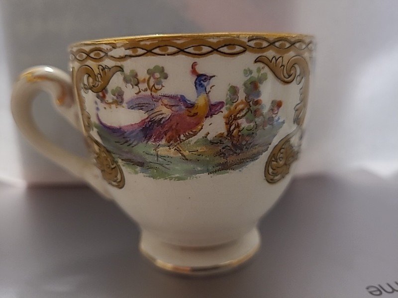 Vintage Myott’s Royal Crown Teacup & Saucer Staffordshire England Bird Pattern