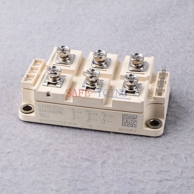 1PCS SKKR300/0.2-BVR MODULE NEW #am