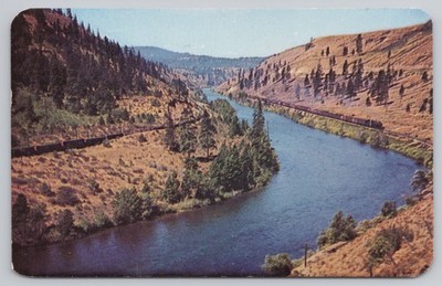 Postcard 1950 Yakima River, Washington, Between Ellensburg & Cle Elum A12058