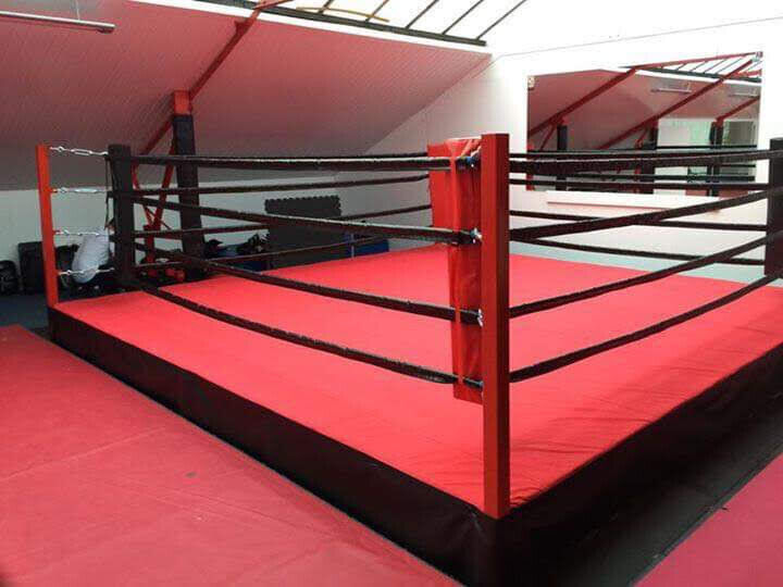 Regulation Boxing Ring - PRO FIGHT SHOP