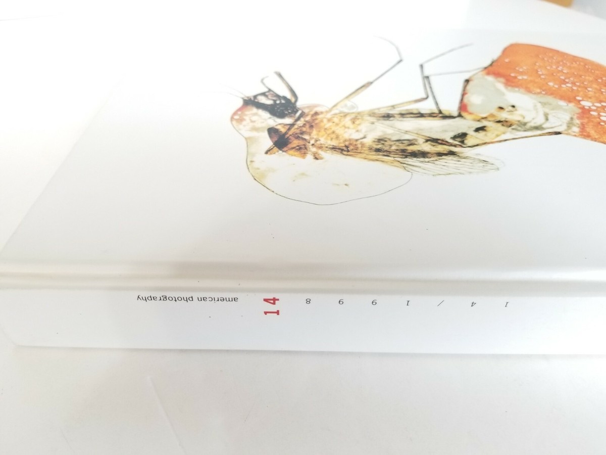 洋書 Art Directors' Index to Photographers 14 Art Directors Index Photographers - AbeBooks