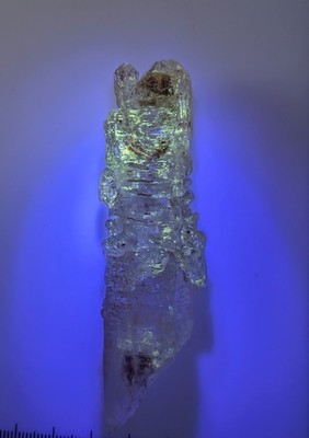 Firefly Quartz Madagascar Crystal Petroleum Quartz UV Reactive Elestial Sceptre