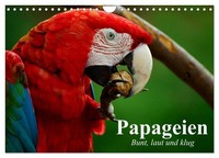 Calendar 2027 · US Version · Parrots. Colorful, Loud And Smart (Wall Calendar 20