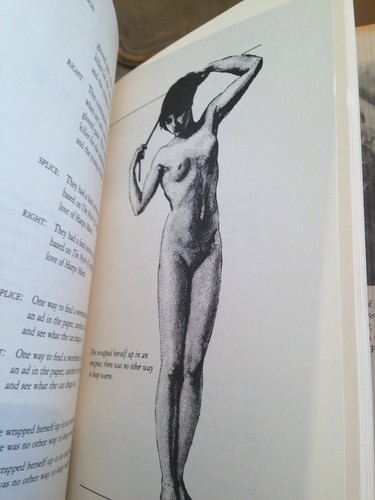 First Edition The Transitive Vampire Book Karen Elizabeth Gordon 1984 Rare! - Imagen 4 de 5