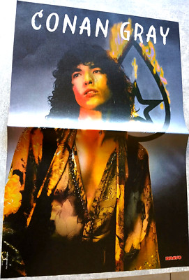 Conan Gray - A3 Poster (42x28cm) -  new