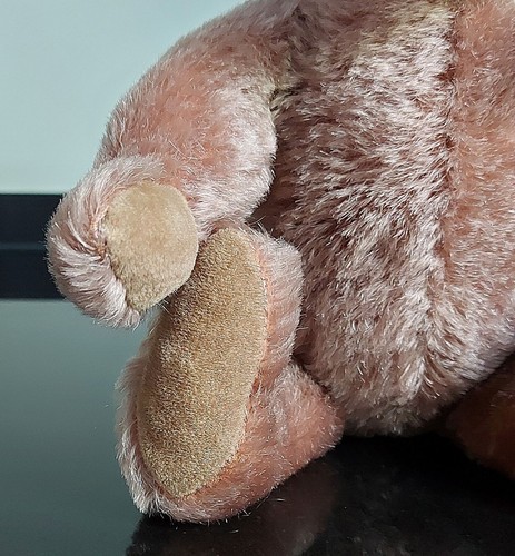 STEIFF – Teddy caramel – 0215/35 – Knopf – absolute Sammler-Rarität! - Bild 3 von 8