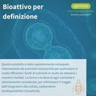 Foto 9 di 12