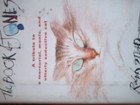 Bild 9 von 10
