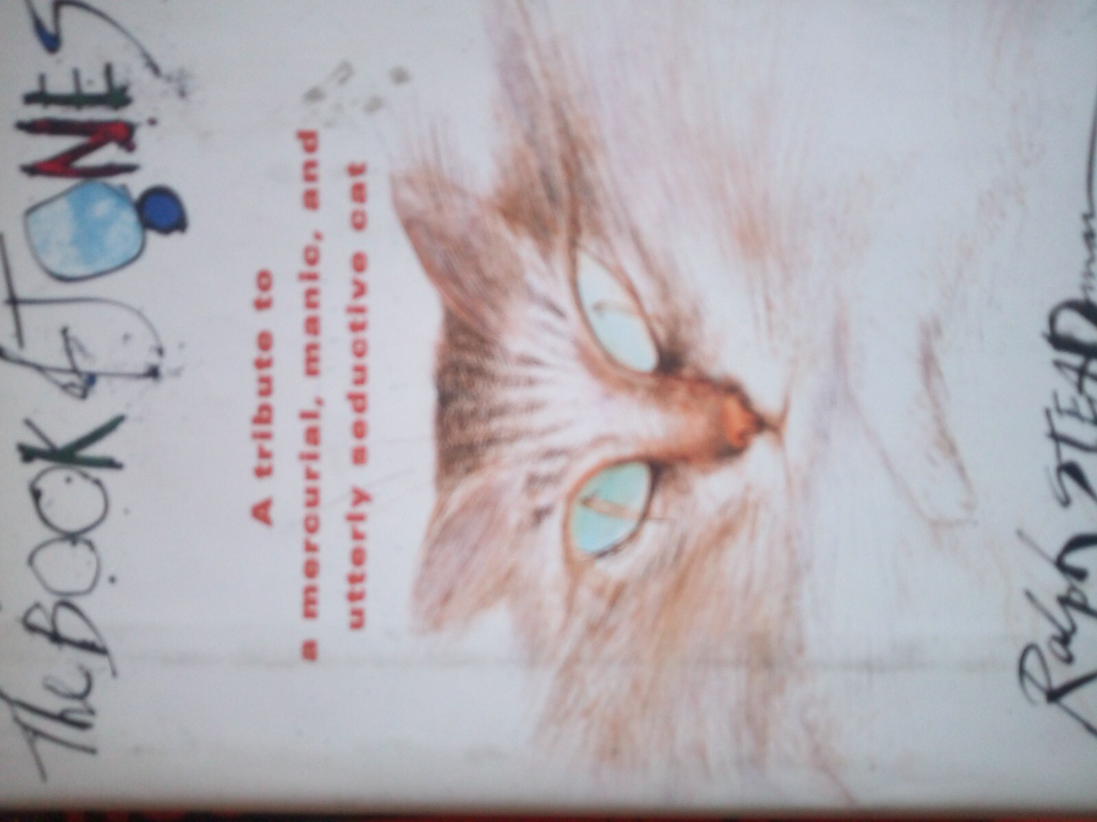 Bild 9 von 10