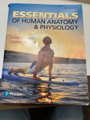 Essentials of Human Anatomy and Physiology by Elaine Marieb and Suzanne...