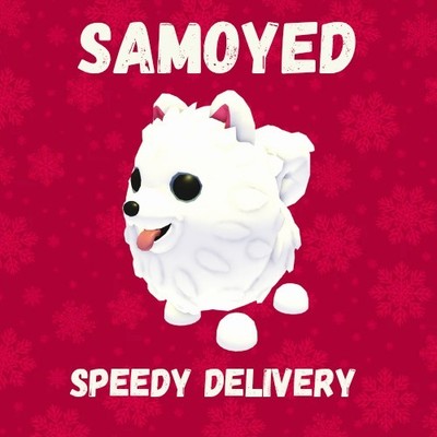  Samoyed - Adopt Your Pet From Me! Christmas event 
