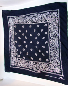 Old White Paisley Dark Blue Black 22" Bandanna Handkerchief Biker Cowboy Western