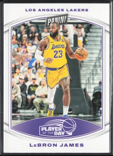 2024 Panini Player of the Day LeBron James #21 L A Lakers