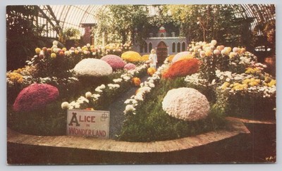 Alice in Wonderland Flower Display Phipps Conservatory Pittsburgh PA Postcard
