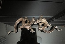 cool belt buckle dragon