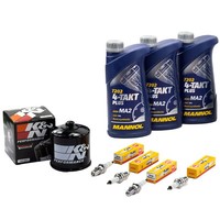 ÖL 3L Set FüR Honda VT 500 E VT 500 VT500 1983-85 Inspektion ÖLfilter ZüNdkerzen