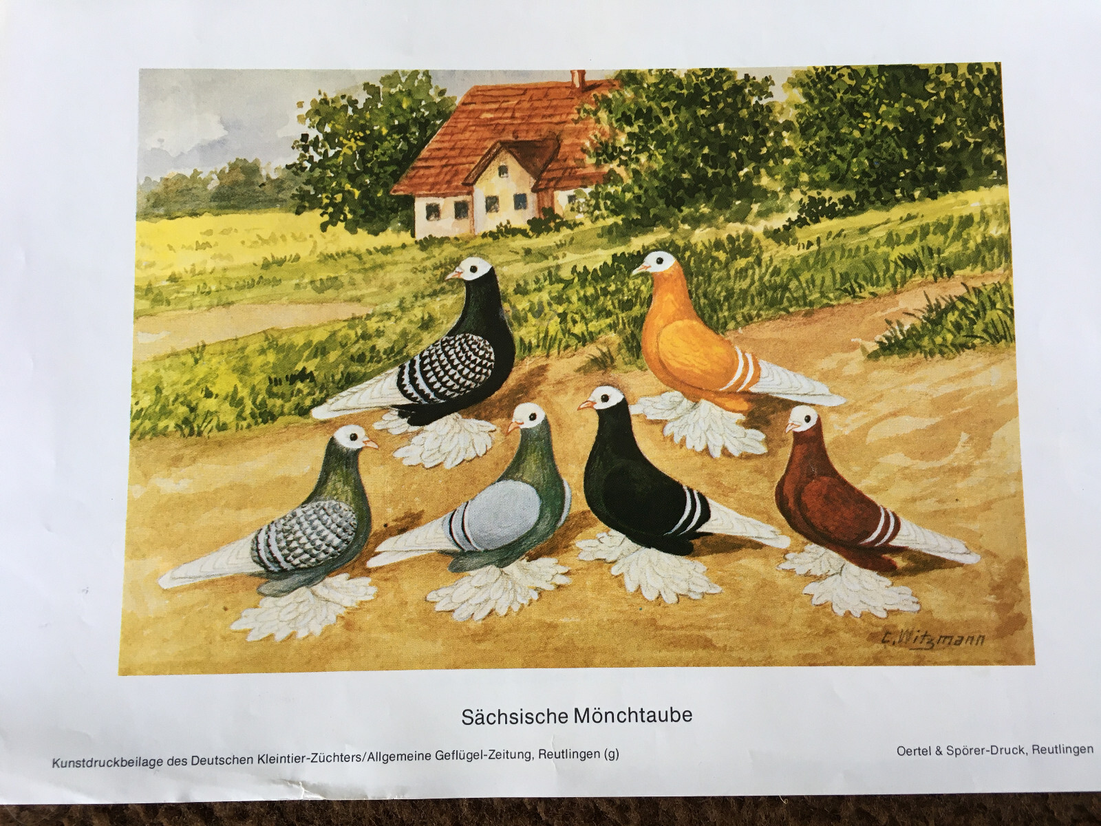 Bild 40 von 44