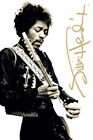 Jimi Hendrix - Live Art Poster 24x36 - Music 241444