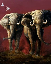 Plush Queen Elephant Blanket - Extremely Soft - Not Enough Gun