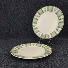 Pfaltzgraff Dinner Plates Green Perennials Garden Stripe Floral Set of 2