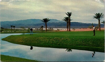 Lake Havasu Golf Club City AZ 3rd Green Palms Golfers Arizona postcard H541