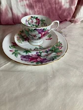 azalea tuscan fine English bone China tea set