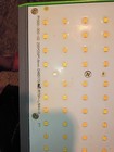 VIPARSPECTRA P1000 Full Spectrum 100W LED Grow Light, Dimmable Dial, 300LED — photo 5