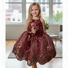 Revolution Girl's Dance Costume in Burgundy and Gold Medium