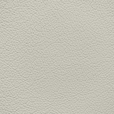 GM Whisper Beige Leather Dye