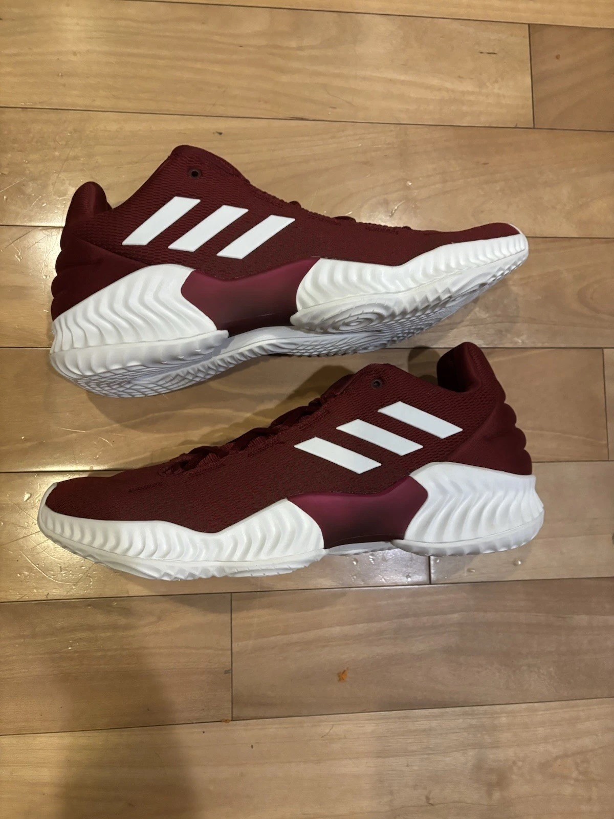 Size 13