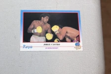 1991 Kayo Boxing Card Complete Finish Fill Your List Set U-Pick