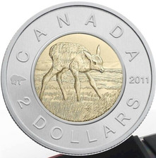 Canada 2011 Special Edition Baby Elk Calf  $2 Dollar Toonie RARE HTF