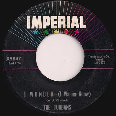 The Turbans - I Wonder (I Wanna Know) / The Damage Is Done, 7'', (Vinyl)