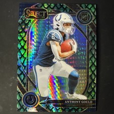 2024 Panini Select Club Level Anthony Gould Dragon Scale Prizm 1/81 1st on Card!