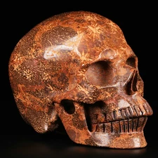 Huge 5.0" Gold Star Stone Carved Crystal Skull, Realistic, Crystal Healing