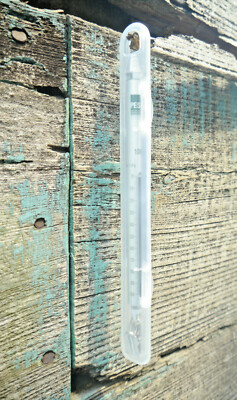 Bilancia A Molla Pesola Micro 100g - Precisione Svizzera Per Pesi E Forze Di Trazione - Foto 1