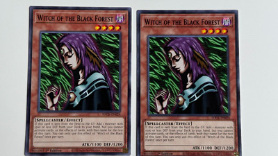 Witch of the Black Forest - SDCK-EN024 - Common - 1st edition - NM