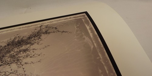 Signed Ltd. Ed. Photographic Print of an Elephant by Andy Anderson Picture Photo - 第 5/7 張圖片