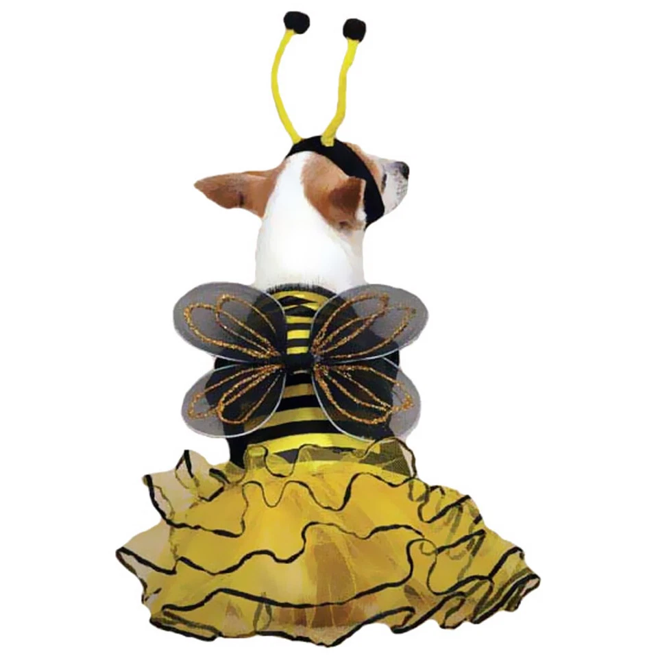 Casual Canine Bee Mine, Dog Halloween Costume, XS Pet - Image 2 of 4