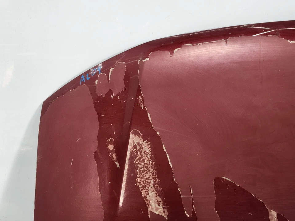 ✅ 99-03 OEM Volkswagen Eurovan MV capó delantero carcasa capó panel rojo NOTA* Foto 2 de 4