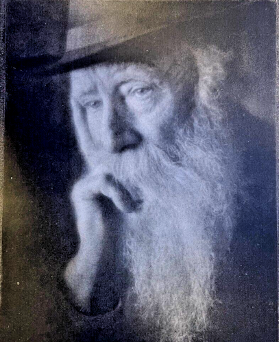 1913 Vintage Zeitschrift Illustration Naturforscher John Burroughs