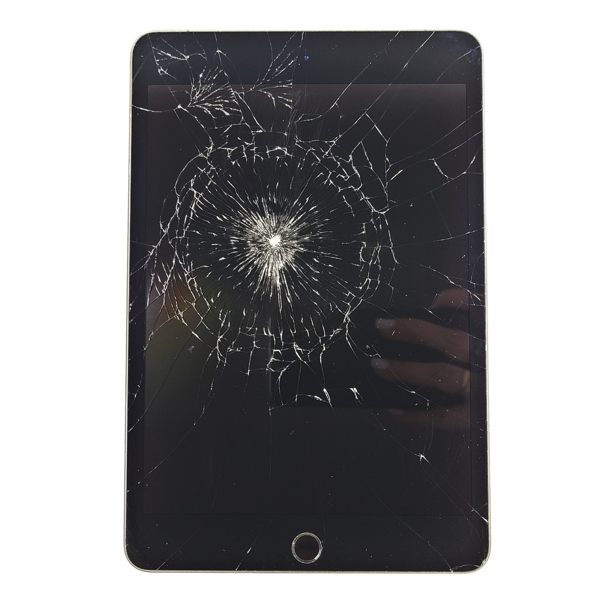 ipad mini4 64GB スペースグレー iPad mini4 64GBスペースグレー 【公式通販】