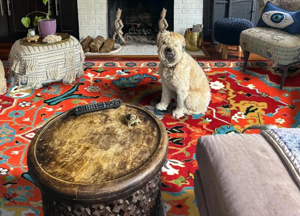 Womenarts New Heriz RedHandmade Tufted Woolen Area Rugs & Carpet - Image 4 of 4