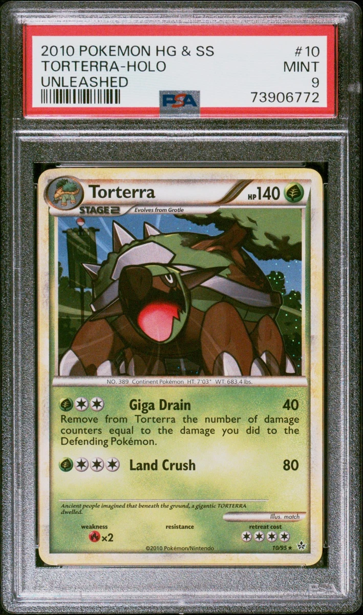 Torterra