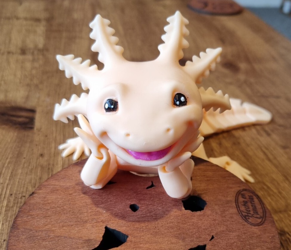Axolotl Gelenk 10" Flexi Sensorisches Spielzeug 3D-gedruckte Haustiere, offizieller Verkäufer