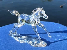 2021 SCS Swarovski ESPERANZA FOAL Figurine "SIGNED"  #5004729 NIB