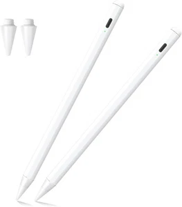 Stylus Pen for iPad A16 11th/10th 2025-2018 2Pack Pencil Pro with Palm Rejection